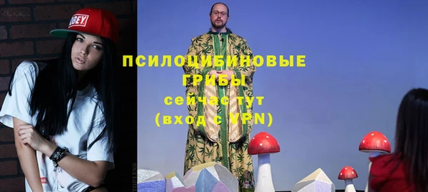 МДПВ Богородск