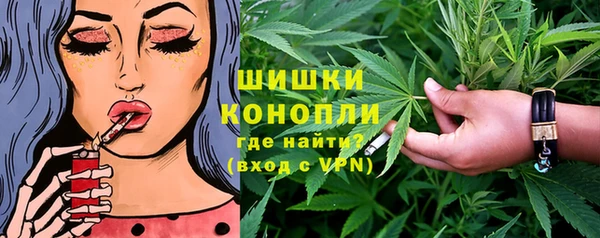 шишки Богданович