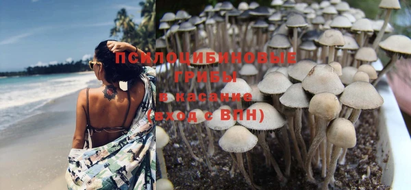 прущая мука Белокуриха